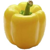 Amazon.co.jp: 植物種子 赤パプリカ 種 12粒 F1品種 : DIY・工具・ガーデン