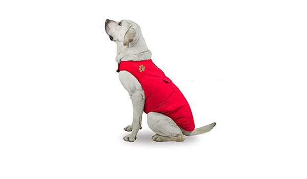 labrador gifts amazon