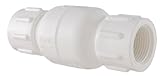 LDR 024 CVT-34 3/4-Inch PVC Check Valve by LDR Industries