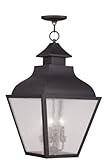 Livex Lighting 2459-07 Vernon 4-Light Outdoor Chain Hang, Bronze by Livex Lighting