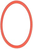 Sloan 5306058 Flush Valve Friction Ring [並行輸入品]