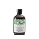 【公式】 ダヴィネス ナチュラルテック シャンプー ＜ＲＮ＞ 250mL Davines