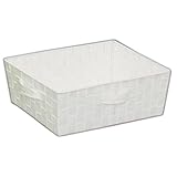 共栄 KYOEI カラーバスケット 浅型 幅38×奥行26×高さ13cm カラーボックス 手荷物置き 収納ボックス インナーボックス ホワイト