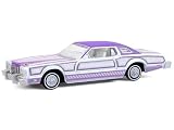 グリーンライト 1/64 フォード サンダーバード ローライダー 1973 マイケル ヘラルダ スペシャル Greenlight Thunderbird Lowrider [並行輸入品]