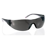 Eva 250-10-5501 Rimless Safety Glasses with Gray/Pink Temple, Gray Lens and Anti-Scratch Coating by 