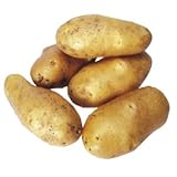 馬鈴薯 高級メークイン ２kg