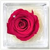 プリザーブドフラワー 花花 手のひらサイズ ガラスキューブ (バラ 一輪) 枯れないお花 お祝い プチギフト プレゼント (オリジナルメッセージカード ラッピング 無料対応) マゼンダ レッド