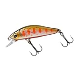ダイワ(DAIWA) ルアー シルバークリーク ミノー スローフォールカスタム 40SS オレンジヤマメ