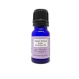 アロマ エッセンシャルオイル (精油) 100%ピュア オーガニック スパイクラベンダー オイル 10ml アンドエスエイチ