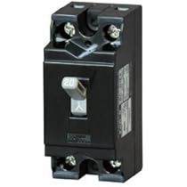 Amazon.co.jp: テンパール工業 安全ブレーカ 住宅用分電盤用