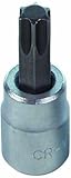 AMPRO T71705 3/8-Inch Drive by T40 Brake Caliper Star Bit Socket [並行輸入品]