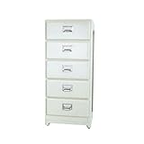 ダルトン 5ドロワーズチェスト アイボリー 5 DRAWERS CHEST IVORY