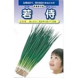 ネギ 種 小ネギ若侍 小袋（約20ml）