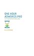 One Hour Adwords Pro: Learn Google AdWords in about an Hour (English Edition)