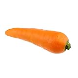 【手品 マジック】Rubber Carrot/ラバー製・にんじん 超リアル アピアリング ディスアピアリングマジック 空手でニンジンを現れ ステージマジック道具