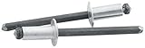 Allstar Performance ALL18101 Silver 1/8 to 1/4 Grip Small Head Rivet (Pack of 250) [並行輸入品]