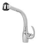 Symmons S-2630 Fiano Kitchen Faucet [並行輸入品]
