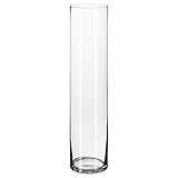 IKEA(イケア) CYLINDER 80223327 花瓶, クリアガラス