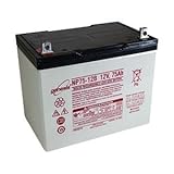 PENTAIR WATER BAT40 40 AGM Deep Cycle Battery [並行輸入品]