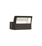 LED Floodlight