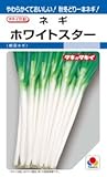 【種子】ネギ ホワイトスター 9ml
