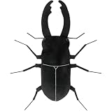 超BIGサイズのぬいぐるみ わくでかぬいぐるみ 珍獣捕獲シリーズ オオキイクワガタ 大きい ぬいぐるみ 特大 サイズ クワガタ 昆虫 虫 約100cm
