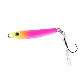 ダイワ(DAIWA) シルバークリークジグ 秋姫 7.5g