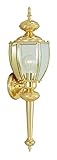 Livex Lighting 2112-02 Outdoor Wall Lantern with Clear Beveled Glass Shades, Polished Brass [並行輸入品]