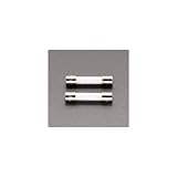 エスコ ５．０Ａｘ２５０Ｖ／５．２ｍｍ径消弧剤入 ヒューズ ２本 EA758ZX-25 [その他]