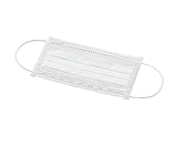 エコノミーマスク 2PLY 100枚 / 3-1680-01