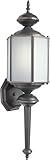 Forte Lighting 10021-01-14 Exterior Wall Light with Frosted Seeded Glass Shades, Royal Bronze [並行輸入品