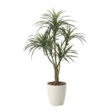 光の楽園【光触媒/人工観葉植物】ユッカ90