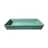 TimeNote　フォームトレー　フォーム　スタンダード　1/3スライス　サイズ　Pine Green Tray 10個 1000142