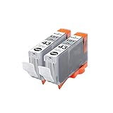 J-ECO製 BCI-43LGY ライトグレー 染料 お得な2本セット ISO14001、ISO9001、CE、SGS認証工場 キヤノン用 互換インクカートリッジ 残量表示 (BCI-43 BCI-43BK BCI-43C BCI-43M BCI-43Y BCI-43PC BCI-43PM BCI-43GY BCI-43LGY)