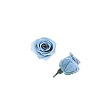 florever　フロールエバー　フレッシュルックベイビーローズ　コットンブルー　12輪　Φ2.5～3.5cm　 プリザーブドフラワー　Baby Rose　Cotton Blue