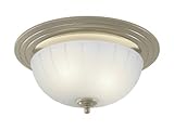 NuTone 745BNNT Corrosion Resistant Decorative Ventilation Fan with Light, 70 CFM, Brushed Nickel [並行