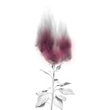 �ƂĂ���������