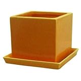 【6個入】インテリアポット(植木鉢カバー) タリーズ キューブ型/10cm 穴有/受皿付 イエロー(黄) 〔ガーデニング用品/園芸〕