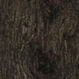 サンゲツ フロアタイル フロアータイル GT OILEDWOOD　150×914.4×2.5mm 24枚セット(GT-319)