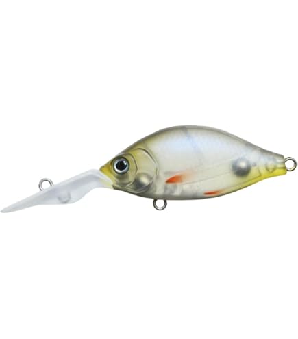 Amazon.co.jp: イッセイ(Issei) G.C.カネヒラシャッド 46MR-SP