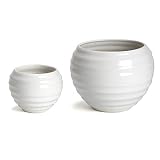 KANEYOSHI 鉢 陶器 植木鉢 白 SS M 2点セット 【水抜の穴あり】