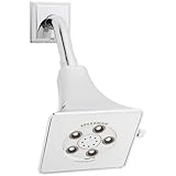 Speakman S-3018 Rainier Anystream High Pressure Adjustable Shower Head, Polished Chrome [並行輸入品]