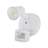 First Alert Motion Activated Solar Security Light 1000 Lumens (White) [並行輸入品]