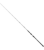 Amazon | ダイワ(DAIWA) ソルティガ R J60S-2 HI | ダイワ(DAIWA