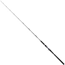 Amazon | ダイワ(DAIWA) ジギングロッド SALTIGA R J60B-4 MD ネイビー