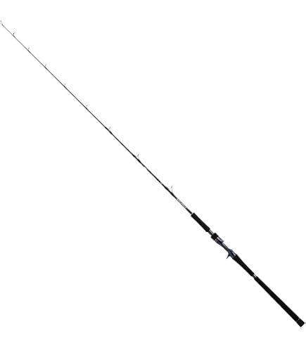 Amazon | ダイワ(DAIWA) ソルティガ C 71－2 | ダイワ(DAIWA