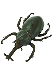 カブトムシ ぬいぐるみ