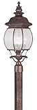 Livex Lighting 7909-58 Frontenac 4 Light Outdoor Post Head, Imperial Bronze [並行輸入品]