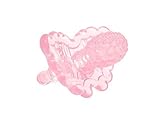 Razbaby Razberry Silicon Teether, Pink by Razbaby