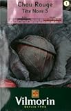 【Vilmorin社種子】【v015】キャベツ・Tete Noire3